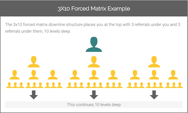 3X10 Forced Matrix