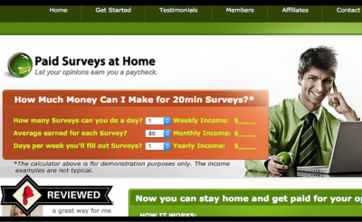 Paid Surveys at Home Review