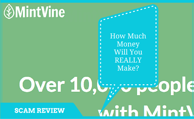 Mint Vine SCAM Review- Will You Really Make Decent Money?