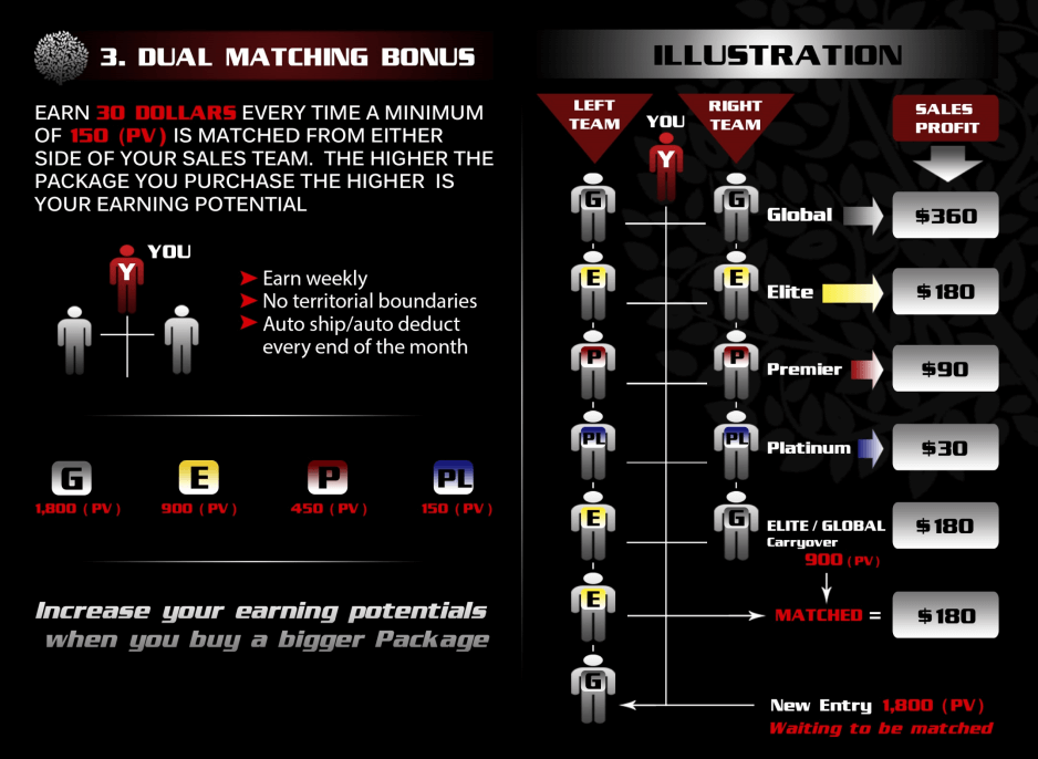 Dual Matching Bonus chart