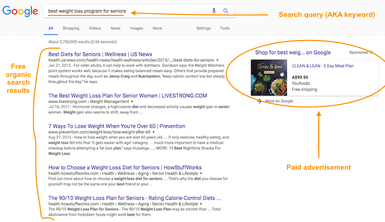 Search Engine Results Example