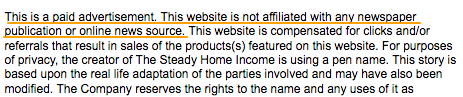 Website Disclaimer