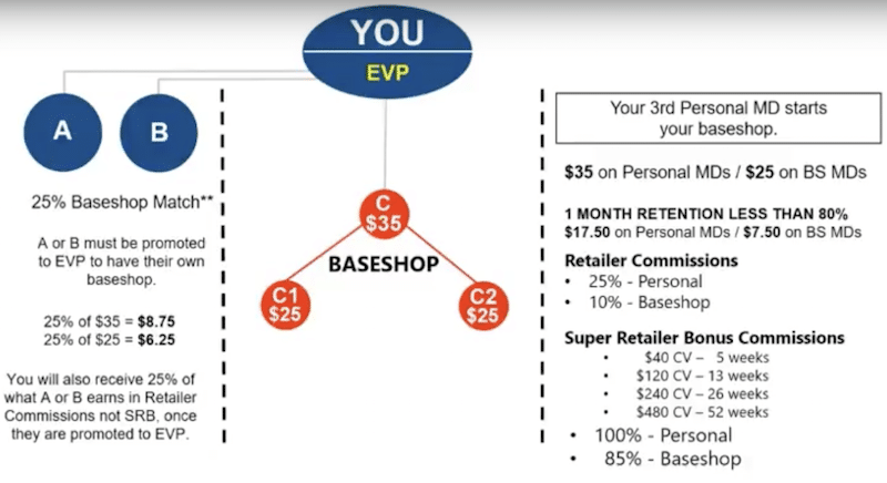 Baseshop Earnings Example