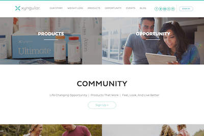 Xyngular website homepage