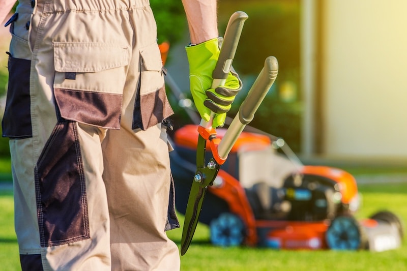 Landscaping and Lawn Mowing Service